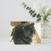 Schwarzer Hamster Postkarte (Stehend Vorderseite)