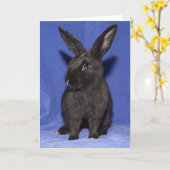 Schwarzer Hasen Karte (Gelbe Blume)