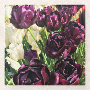 Schwarzer Held Tulips, Oregon Glasuntersetzer