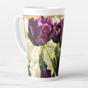 Schwarzer Held Tulips, Oregon Milchtasse