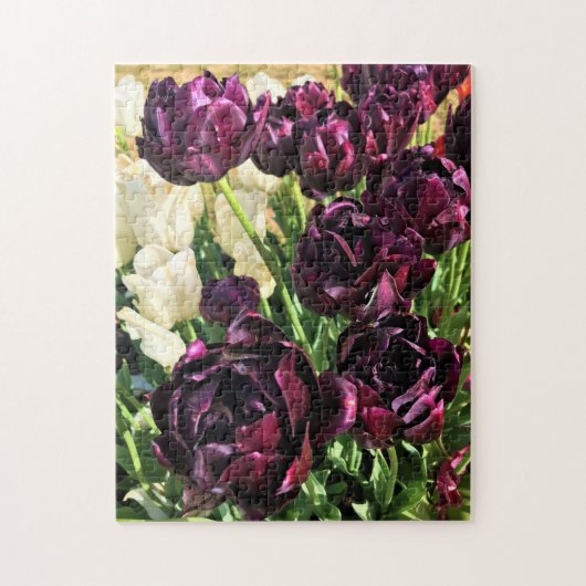 Schwarzer Held Tulips, Oregon Puzzle (Vertikal)