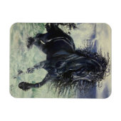 Schwarzer Hengst "Friesian Storm" im Ozean Magnet (Horizontal)