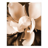Schwarzer Hintergrund der weißen Magnolia-Blume Fotodruck (Vorne)