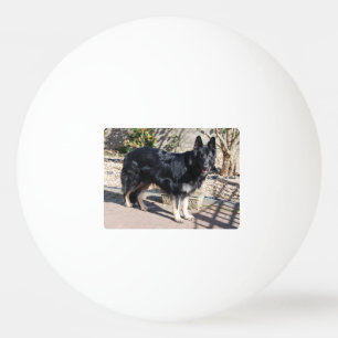 Schwarzer Hirte full.png Tischtennisball