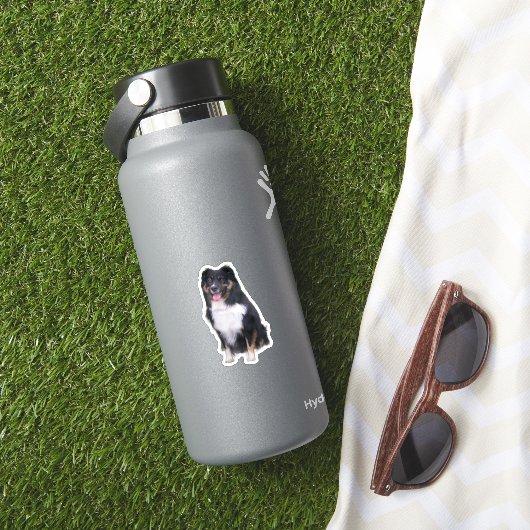 Schwarzer Hirtenschwarz-Miniatur-Sitzplatz Aufkleber (HydroFlask Insitu)