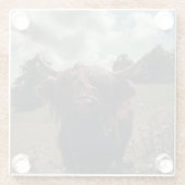 Schwarzer Hochland Schottische Kuh Weiden Vintag R Glasuntersetzer (Rückseite)