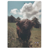 Schwarzer Hochland Schottische Kuh Weiden Vintag R Klemmbrett (Rückseite)