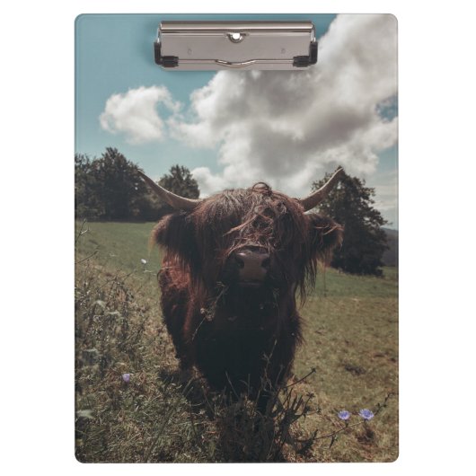 Schwarzer Hochland Schottische Kuh Weiden Vintag R Klemmbrett (Vorderseite)