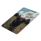 Schwarzer Hochland Schottische Kuh Weiden Vintag R Magnet (Linke Seite)