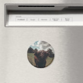 Schwarzer Hochland Schottische Kuh Weiden Vintag R Magnet (In Situ (Geschirrspüler))