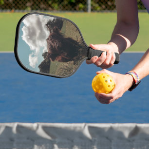 Schwarzer Hochland Schottische Kuh Weiden Vintag R Pickleball Schläger