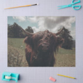 Schwarzer Hochland Schottische Kuh Weiden Vintag R Seidenpapier (Basteln)