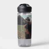 Schwarzer Hochland Schottische Kuh Weiden Vintag R Trinkflasche (Vorderseite)