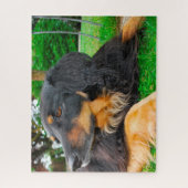 Schwarzer Hovawart Hund. Puzzle (Vertikal)