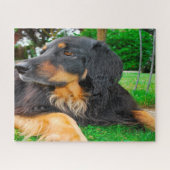 Schwarzer Hovawart Hund. Puzzle (Horizontal)
