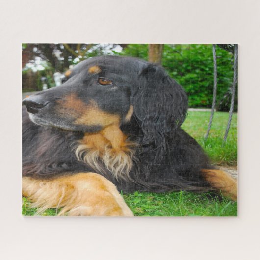 Schwarzer Hovawart Hund. Puzzle (Horizontal)