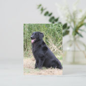 Schwarzer Hovawart Postkarte (Stehend Vorderseite)
