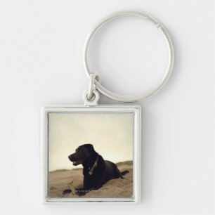 Schwarzer Hund auf Sand mit Stock Schlüsselanhänger