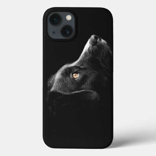 Schwarzer Hund beobachten Case-Mate iPhone Hülle (Rückseite)