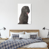 Schwarzer Hund, Briard Leinwanddruck (Insitu (Schlafzimmer))