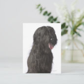 Schwarzer Hund, Briard Postkarte (Stehend Vorderseite)