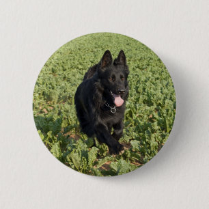 Schwarzer Hund Button
