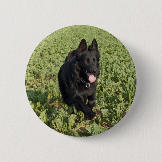Schwarzer Hund Button (Vorderseite)