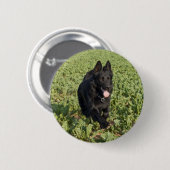 Schwarzer Hund Button (Vorne & Hinten)
