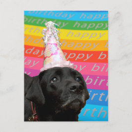 Schwarzer Hund farbenfroh Geburtstag Text Postkart Postkarte