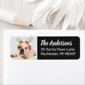 Schwarzer Hund Foto Rücksendeadresse (Insitu)