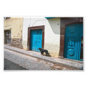 Schwarzer Hund in Cusco, Peru Fotodruck (Vorne)