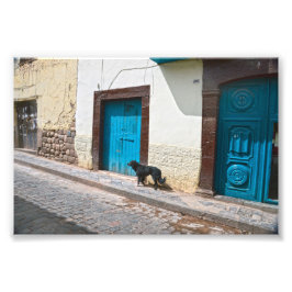 Schwarzer Hund in Cusco, Peru Fotodruck
