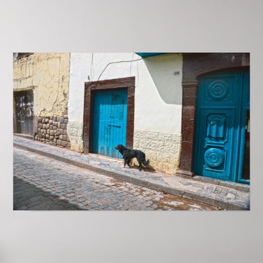 Schwarzer Hund in Cusco, Peru Poster (Vorne)