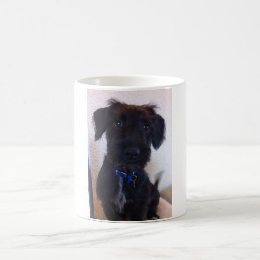Schwarzer Hund Kaffeetasse (Mittel)