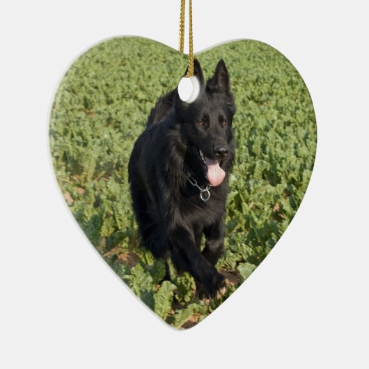 Schwarzer Hund Keramik Ornament (Rechts)