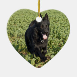 Schwarzer Hund Keramik Ornament
