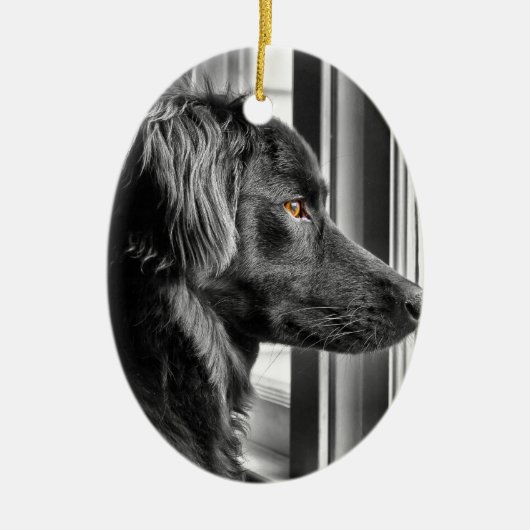 Schwarzer Hund Keramik Ornament (Vorne)