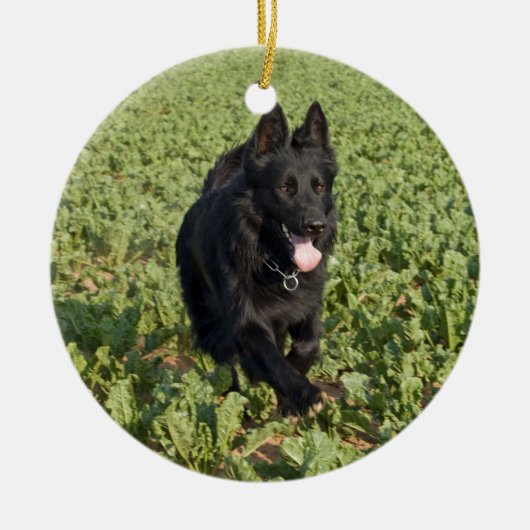Schwarzer Hund Keramikornament (Vorne)