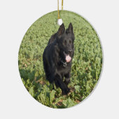 Schwarzer Hund Keramikornament (Links)