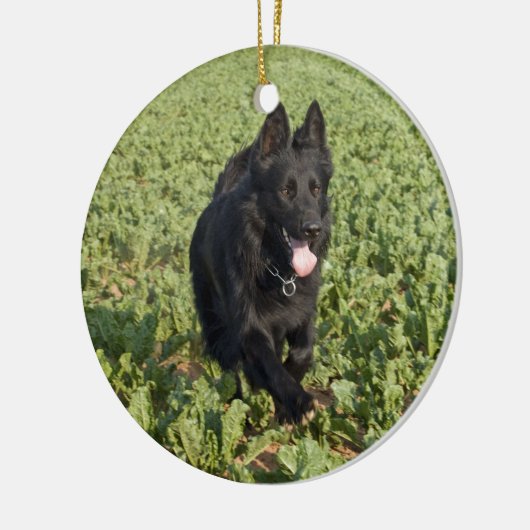 Schwarzer Hund Keramikornament (Links)