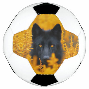 Schwarzer Hund mit Atemberaubenden Goldaugen Fußball