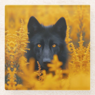 Schwarzer Hund mit Atemberaubenden Goldaugen Glasuntersetzer