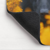 Schwarzer Hund mit Atemberaubenden Goldaugen Mousepad (Ecke)