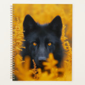 Schwarzer Hund mit Atemberaubenden Goldaugen Planer (Vorderseite)