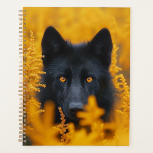Schwarzer Hund mit Atemberaubenden Goldaugen Planer (Vorderseite)