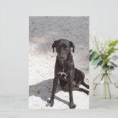 Schwarzer Hund mit bösen Augen Briefpapier (Stehend Vorderseite)