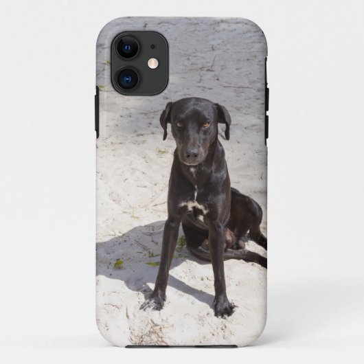 Schwarzer Hund mit bösen Augen Case-Mate iPhone Hülle (Rückseite)