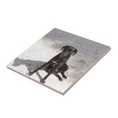 Schwarzer Hund mit bösen Augen Fliese (Seite)