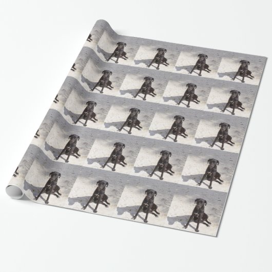 Schwarzer Hund mit bösen Augen Geschenkpapier (Ungerollt)