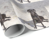 Schwarzer Hund mit bösen Augen Geschenkpapier (Rolleneckpunkt)